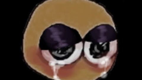 Ruler Of Everything (By Tally Hall) But With Google Images