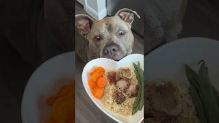 Cooking For My Dog ASMR