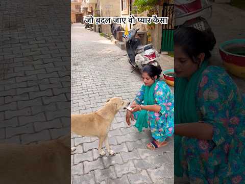 Nahi hoga mera pyar kam 🙏#puppies #streetdog #shortvideos