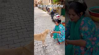 Nahi hoga mera pyar kam 🙏#puppies #streetdog #shortvideos