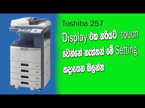 totokoページ No.701] torinco® 1【セージグリーン】