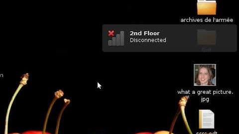 NetworkManager in Ubuntu 9.10