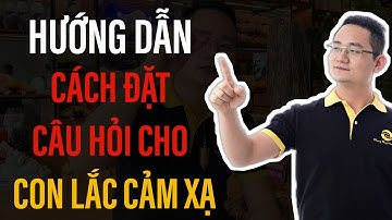 102 Hướng dẫn cách đặt câu hỏi cho Con lắc cảm xạ con lắc lò xo con lắc lò xo treo thẳng đứng
