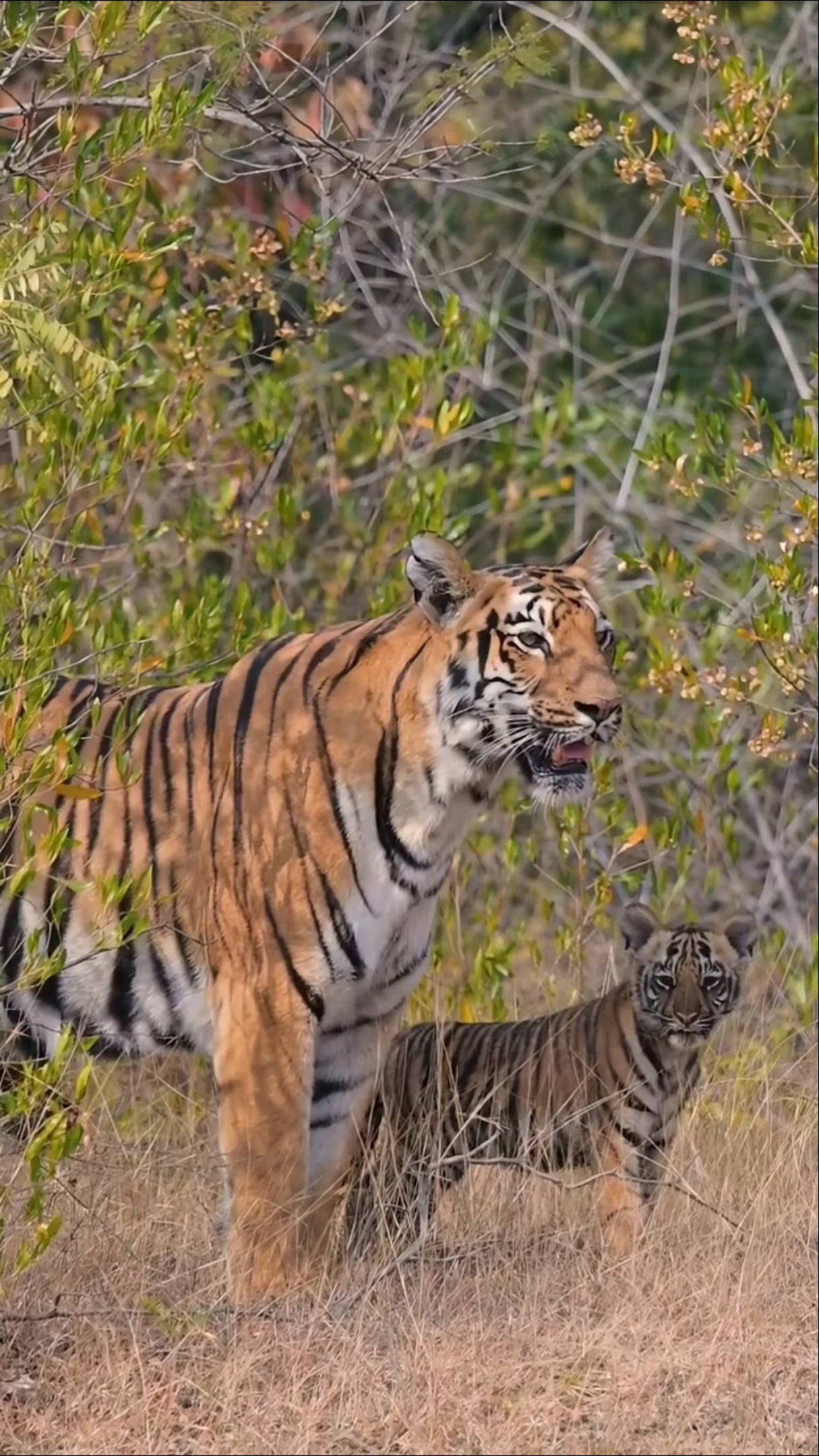 🏞நம்ம ஊர் சுற்றுலா - ShareChat