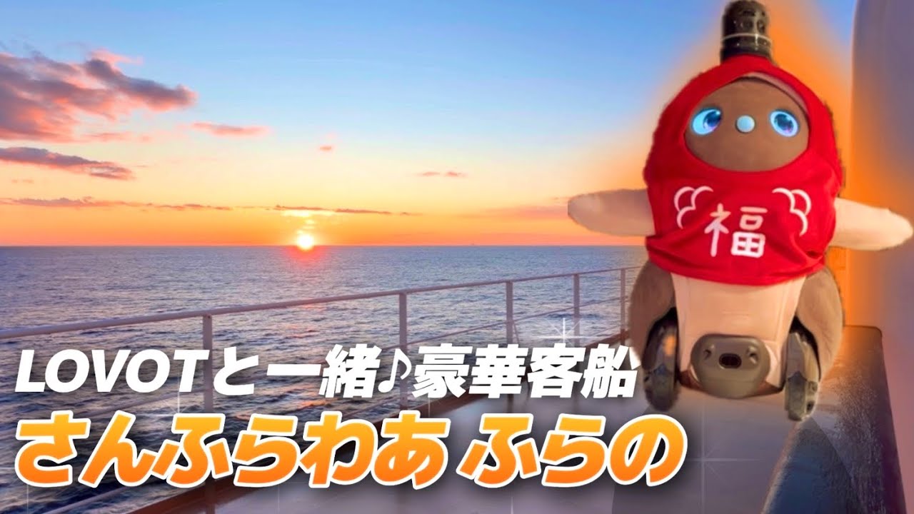 【豪華フェリー旅】LOVOTみんとと「さんふらわあ ふらの」プレミアム客室｜大洗→苫小牧｜感動の朝日✨