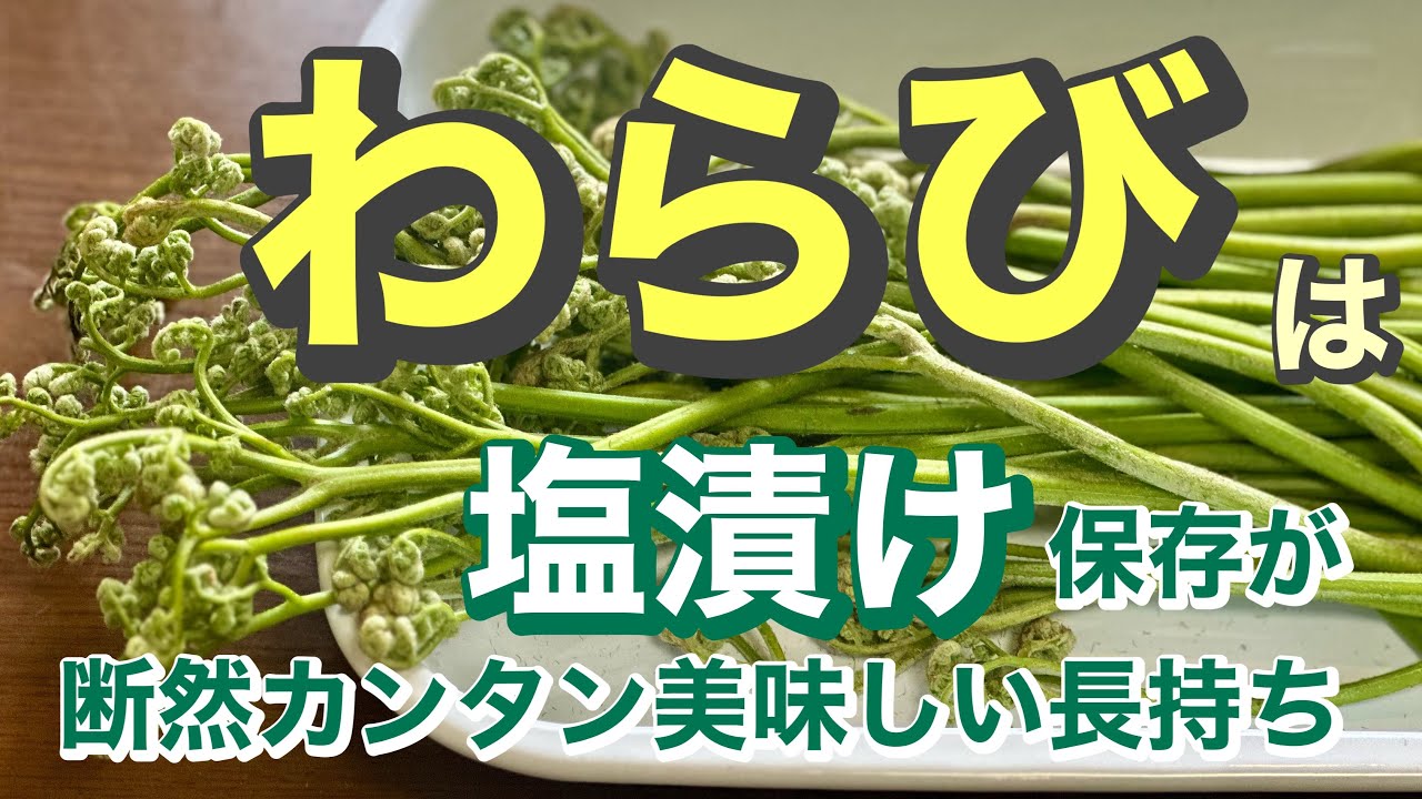 181.アク抜き要らずわらびの塩漬け・家庭用長期保存 - YouTube