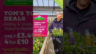 🍁 TOM’S TOP DEALS! Autumn Bedding 6 Pack ONLY £3.49 each of 4 for £10 🌸🌼🌺 #gardencentre