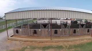 Thinline Llc Tom Mccutcheon Reining Horses A Flying Look