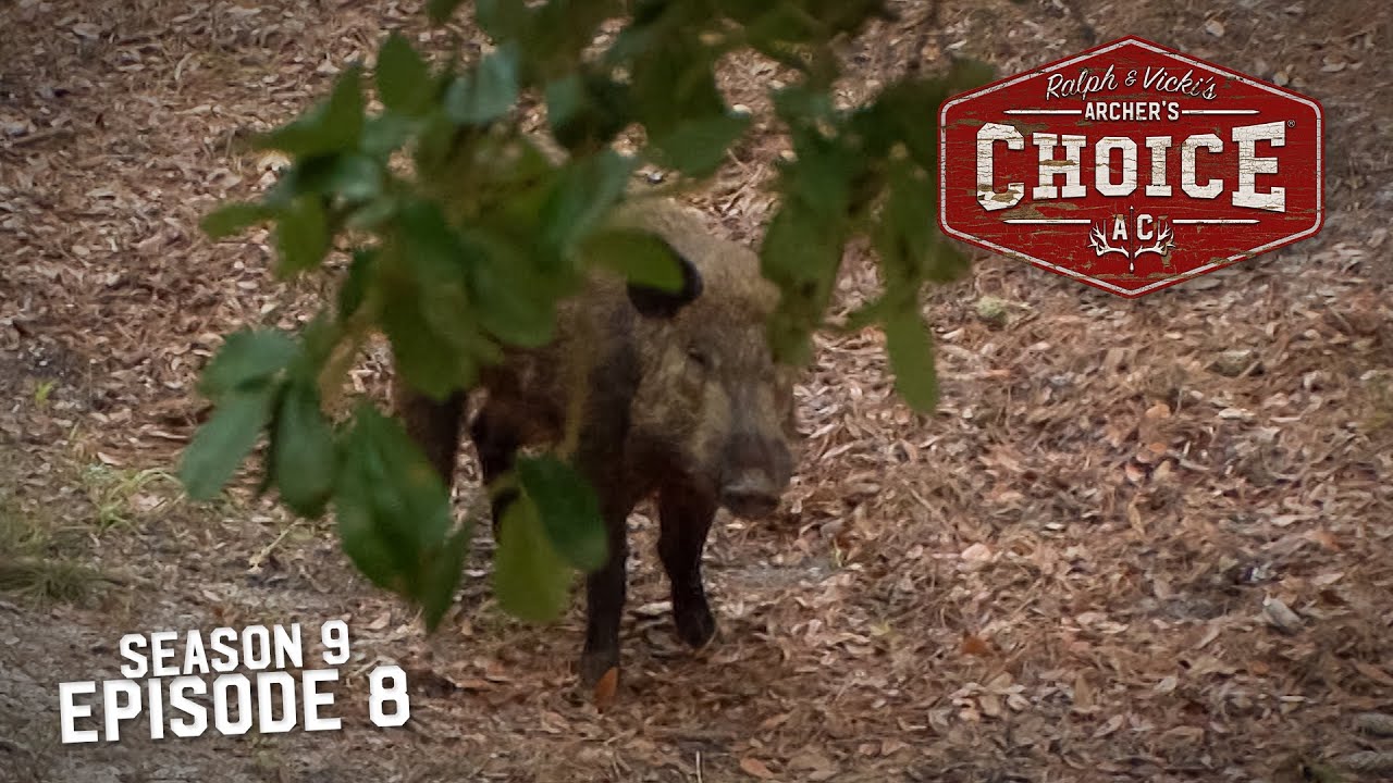 Archer's Choice QUIVER OF DREAMS // S9 Episode 8 YouTube