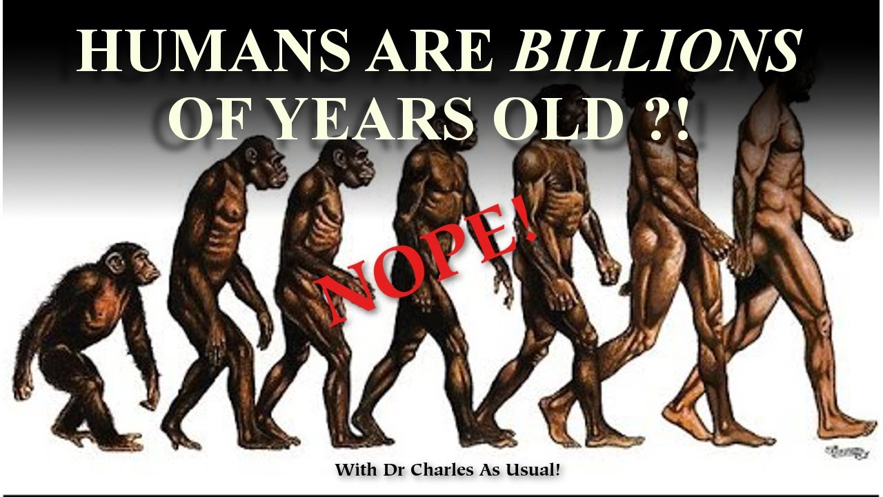 Once human prints. Once human prints. Once human - the life i remember (2015). Once human evolution. Once human prints.