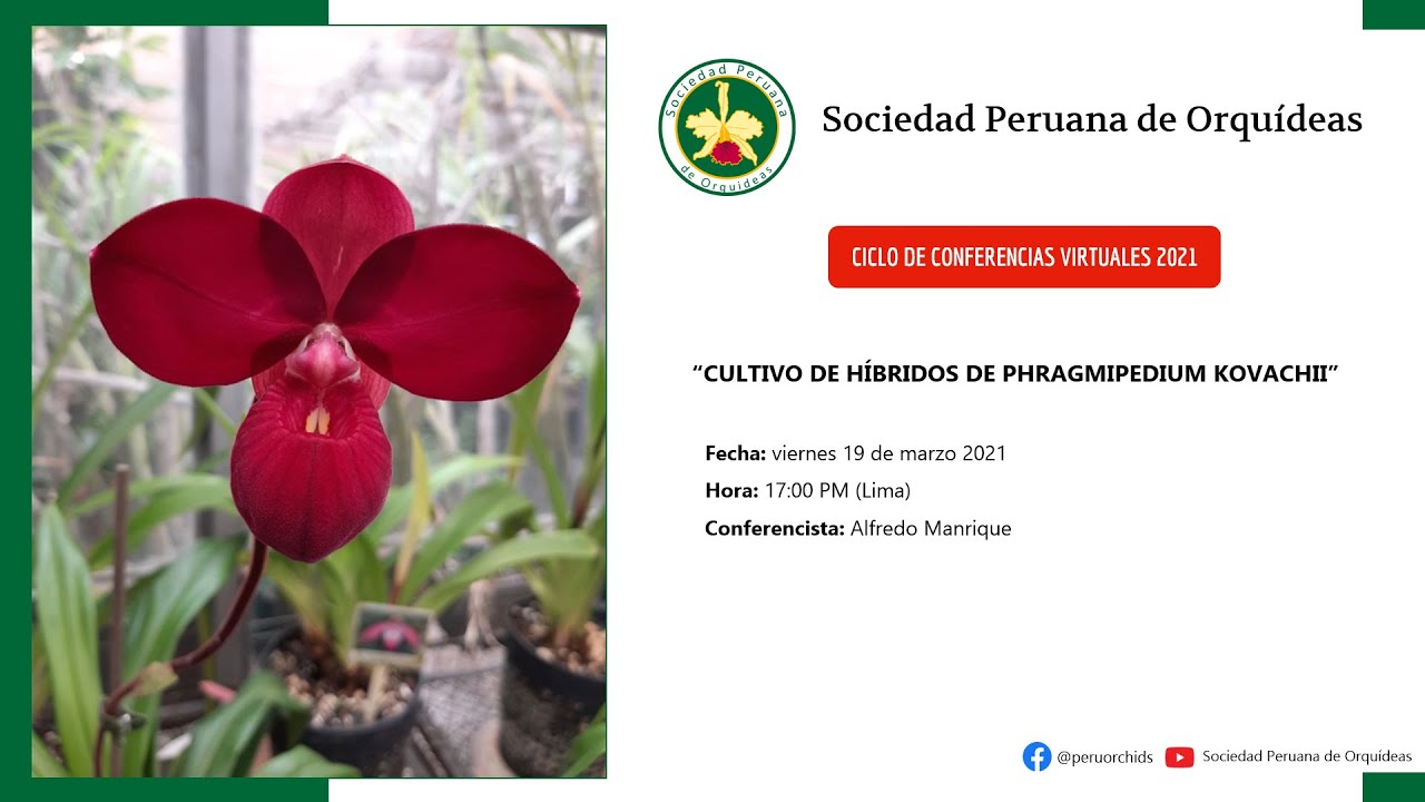 CONFERENCIA VIRTUAL:  