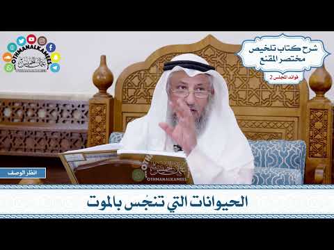 71 - الحيوانات التي تنجُس بالموت - عثمان الخميس