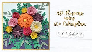 65lb Colorplan Paper Flowers