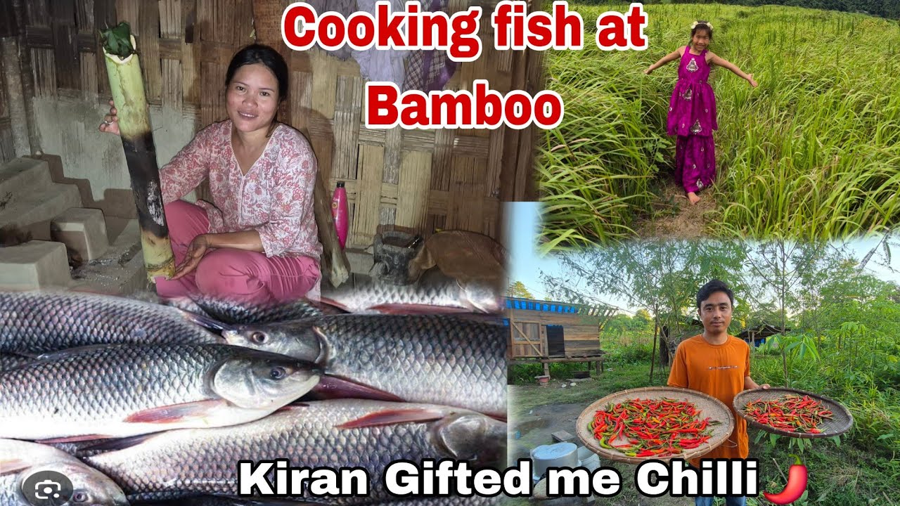 Today I Went to  Discuss Business with  Kiran // Cooking Fish at Bamboo 😋//#arunachalvlogs 
