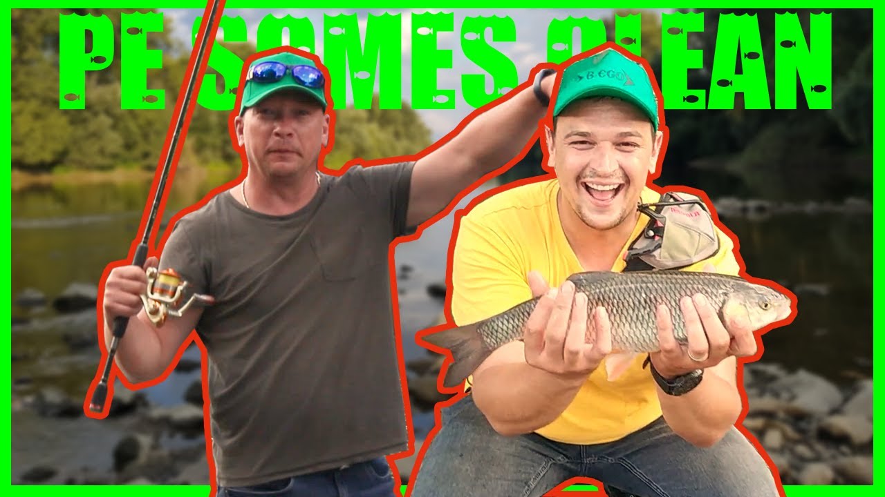 La PESCUIT pe SOMEȘ | PESCAR B-EGO Pescuit la RĂPITORI