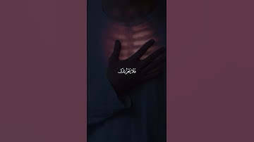 فلا يحزنك قولهم | القارئ : احمد النفيس - سورة يٰس #quran_h2o