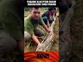 PANJANG ULAR ITU DILUAR DUGAAN DARI PAWANG‼️#shorts #trending