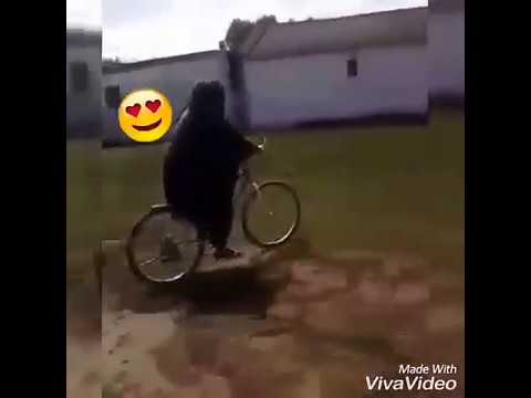 نقابي حياتي1 