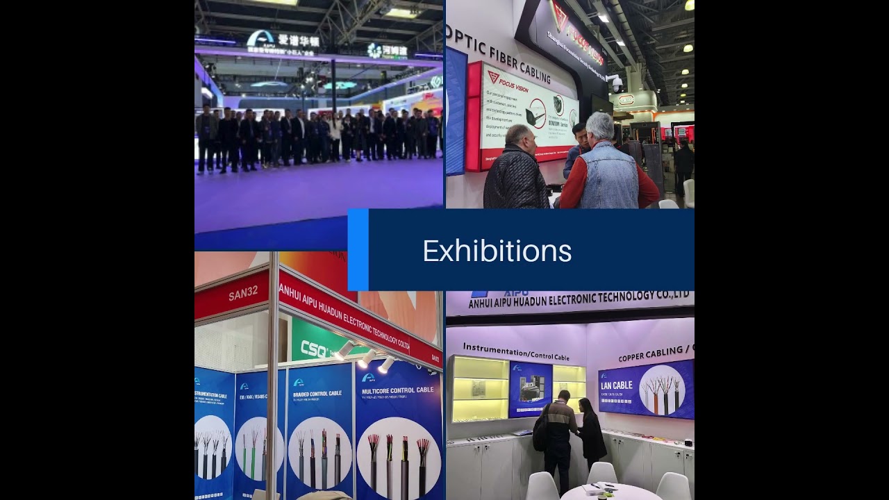 Annual Company Highlights 2024