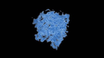 [processing] 3D Cellular Automata