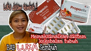Manfaat PROPOELIX HDI untuk Luka Dalam |Thalya Simbolon|