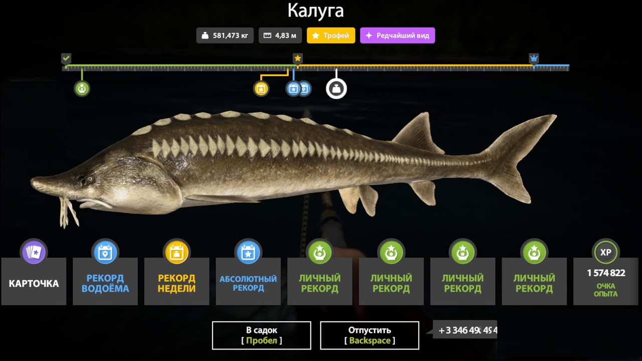 ЛУЧШИЕ РАЗДАЧИ и ФАРМ СЕРЕБРА в РР4! • ТРОФЕЙНАЯ КАЛУГА и ГОЛЕЦ ДРЯГИНА! + ФАРМ на МЕДНОМ!