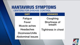 Medical expert explains symptoms of hantavirus in wake of deadly cruise ship outbreak