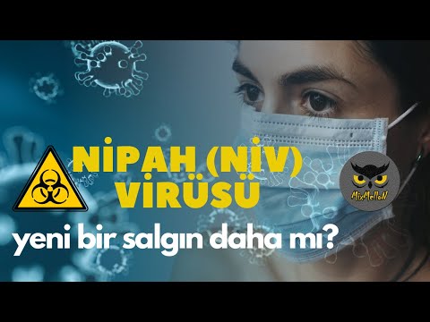 Video: Hindistanın yeni virusu 
