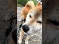 忙しく過ごしていた5月ありがとう