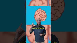 Como Funciona O Cérebro Dos Canhotos?