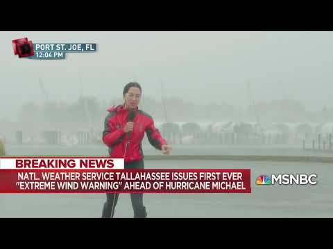 Hurricane Michael in the Florida Panhandle