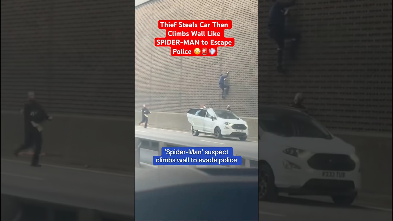 Thief Steals Car Then Climbs Wall Like SPIDER-MAN to Escape Police. 