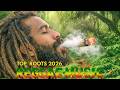 Top 10 Roots Reggae Music 2026 – A Healing Journey From Rearview Zion to Unmasked Rasta Flame