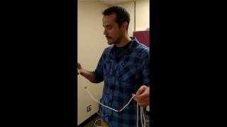 Celebrity Brock and his "Brock String" - a fun video Net Worth