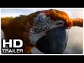 TUESDAY Trailer (NEW 2024)