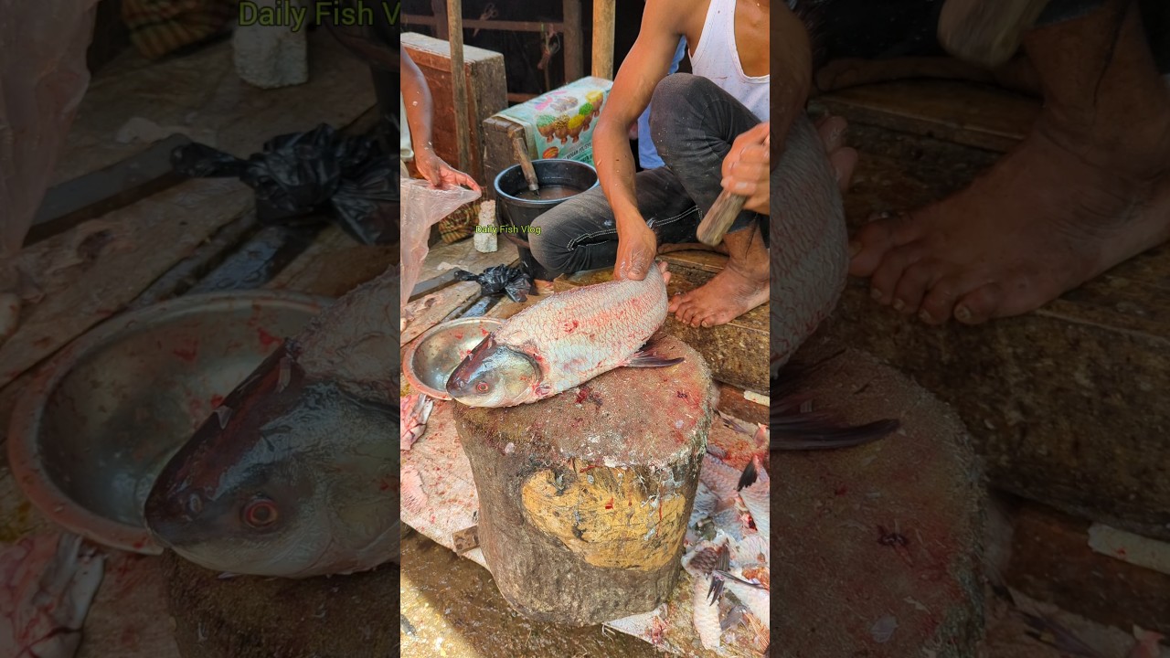 Amazing !! Traditional Perfect Size Rohu Fish Cutting Skills 😱(Episode:-325) 