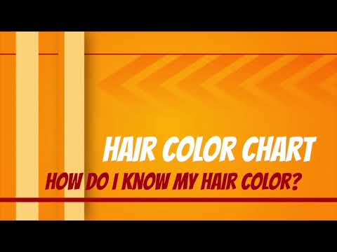Clairol Complements Color Chart