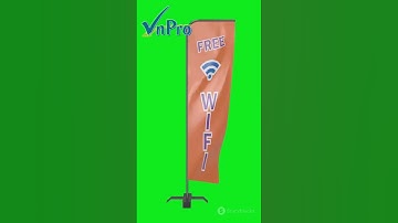 Các mô hình mạng Wi-Fi bạn cần biết | Làm chủ mạng không dây cùng VnPro CCNA