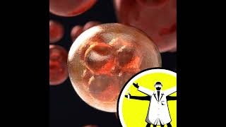 Immune reprogramming for cancer, and squeaky shoe science