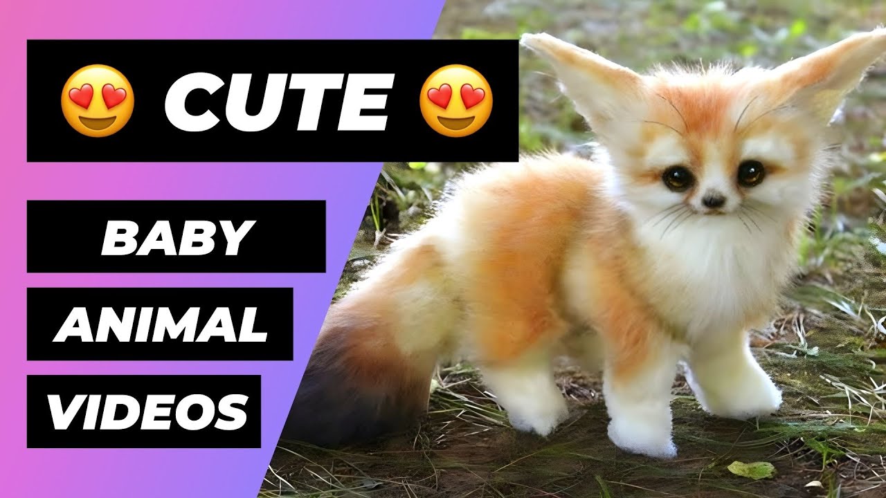 Baby Animals Funny And Cute Baby Animals Videos Compilation 18 Animales Bebes Videos Youtube
