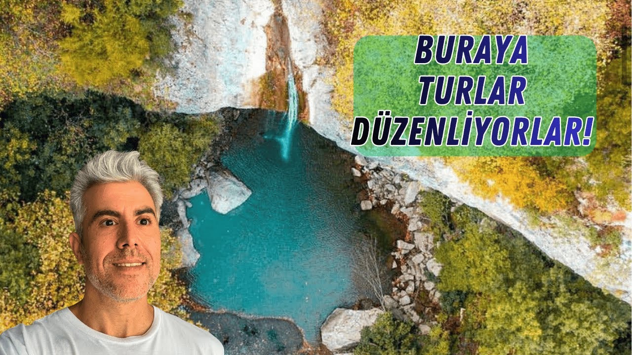 Исследование грибов на водопаде Доганчей 🍄 Ядовитые и съедобные грибы | Природный влог Сакарьи