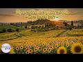 Il meglio de I Girasoli – Live Radio 24/7