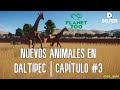 Planet Zoo│Daltipec #3│max_quin