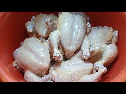 لازم تخزنى الفراخ ده كده الطريقه الصح لتخزين الفراخ اكبر وقت فى الفريزر