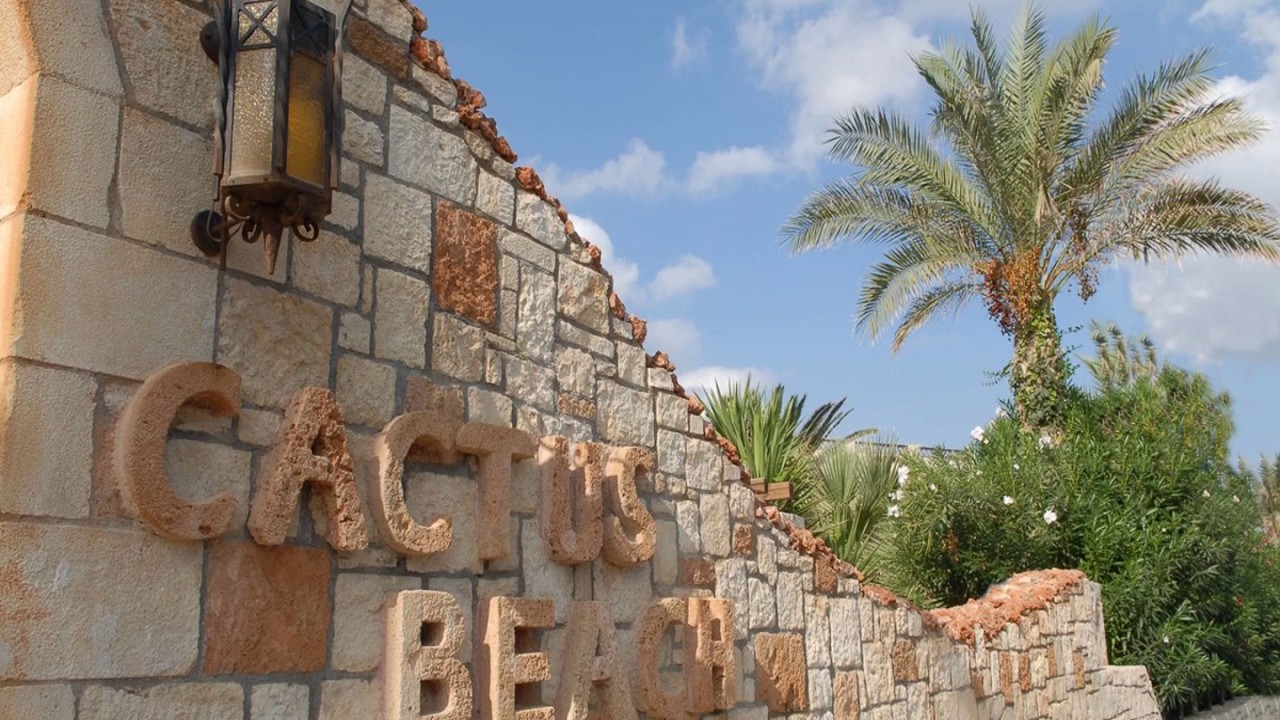 Cactus Beach in Stalis Crete- Sustainability