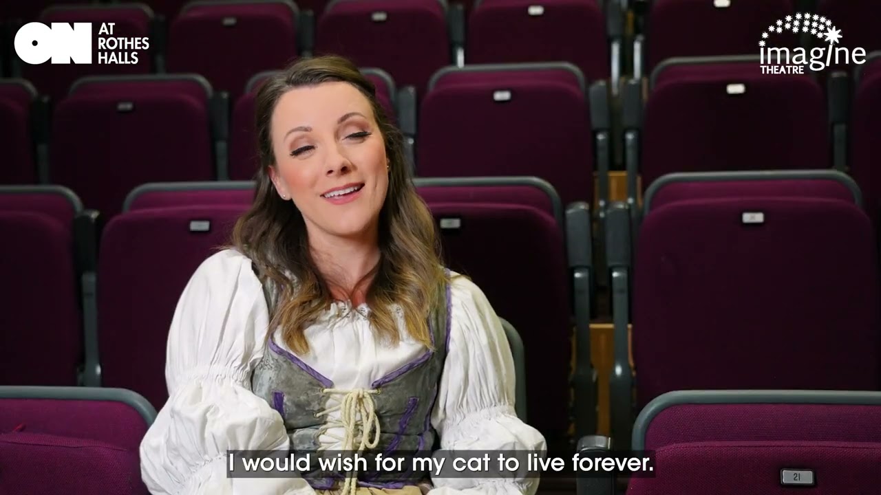 Cinderella Fairy Godmother  Rothes Hall 2022