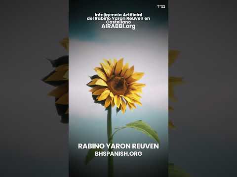 Suka y Jupa - En Sucot con el Rab Reuven