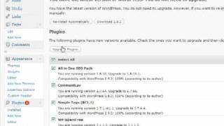 Upgrade all of your plugins at once on WordPress