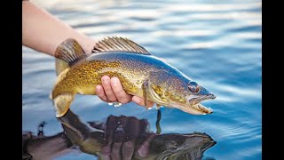 Top 10 Lakes for Walleye Fishing in Iowa