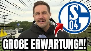 😲S04: DAS WARTEN IST VORBEI! NEUE VERSTÄRKUNG KOMMT!? / aktuelle nachrichten des schalke 04 aktuell